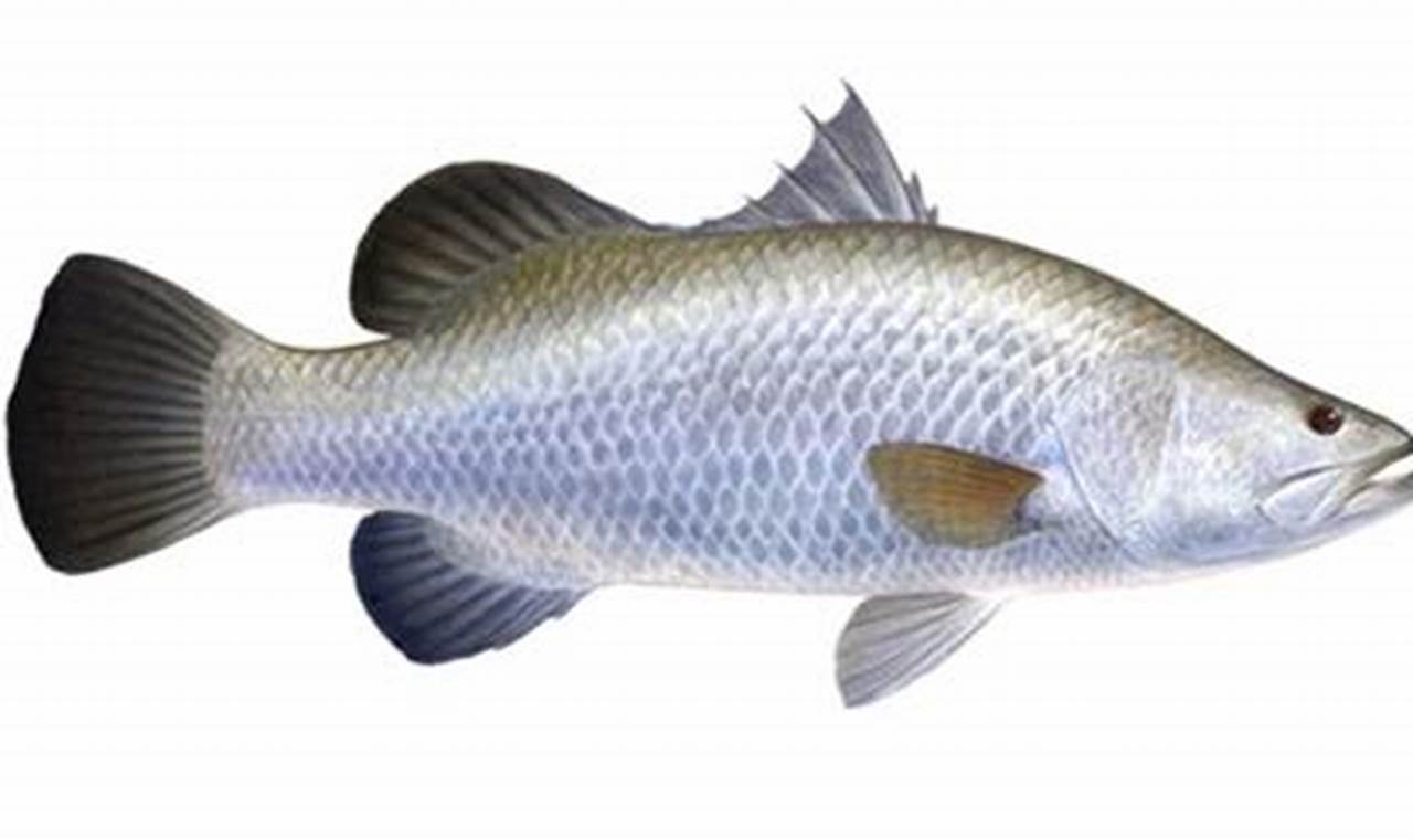 Manfaat Ikan Cukil: Rahasia Kesehatan Tersembunyi dalam Ikan Air Tawar